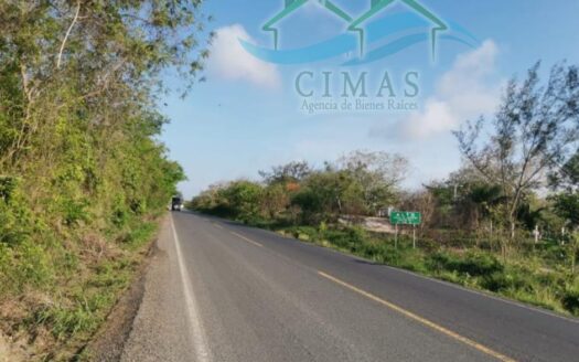 PREDIO RUSTICO EN VENTA EN TAMPICO ALTO, VERACRUZ