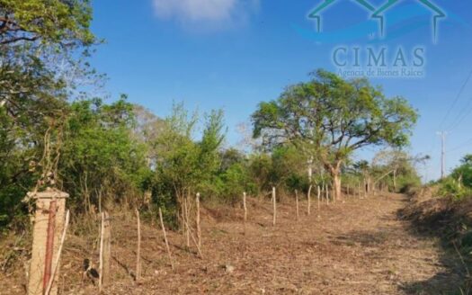 PREDIO RUSTICO EN VENTA EN TAMPICO ALTO, VERACRUZ