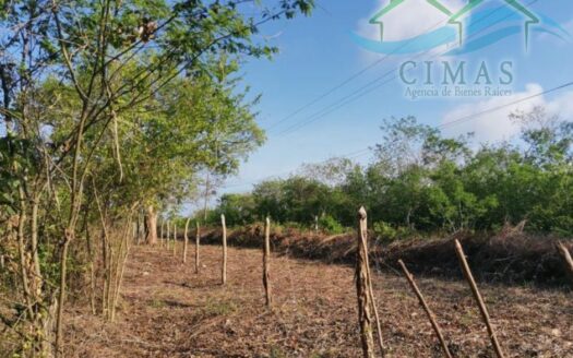 PREDIO RUSTICO EN VENTA EN TAMPICO ALTO, VERACRUZ