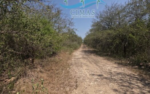 PREDIO EN VENTA EN ZONA INDUSTRIAL DEL PUERTO DE ALTAMIRA, TAMPS