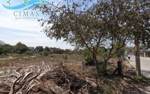 TERRENO EN VENTA COL. LA PUERTA EN ALTAMIRA, TAMPS.