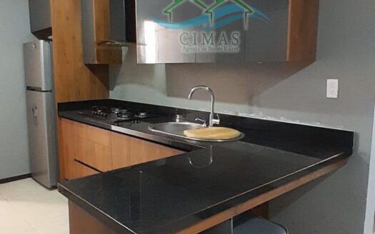 DEPARTAMENTO EN VENTA EN MONTEALTO (FRACC. VISTA LAGUNA) EN ALTAMIRA, TAMPS