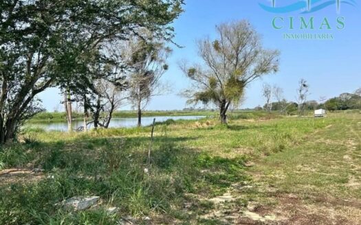 TERRENOS EN VENTA COL. SAN PEDRO EN TAMPICO, TAMPS