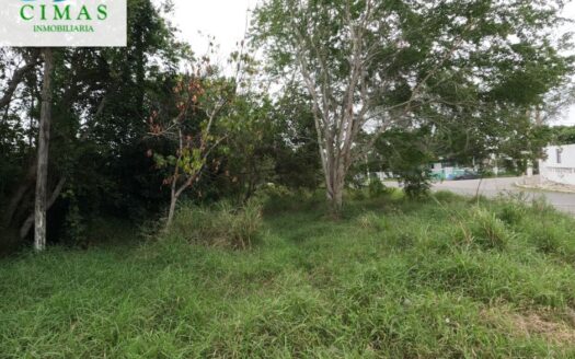 TERRENO EN VENTA COL. PETROLERA LINDAVISTA EN PUEBLO VIEJO, VERACRUZ