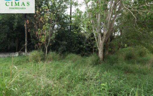 TERRENO EN VENTA COL. PETROLERA LINDAVISTA EN PUEBLO VIEJO, VERACRUZ