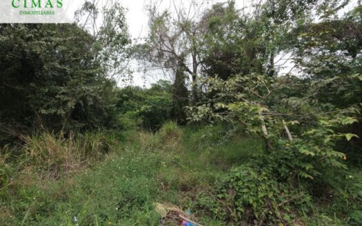 TERRENO EN VENTA COL. PETROLERA LINDAVISTA EN PUEBLO VIEJO, VERACRUZ