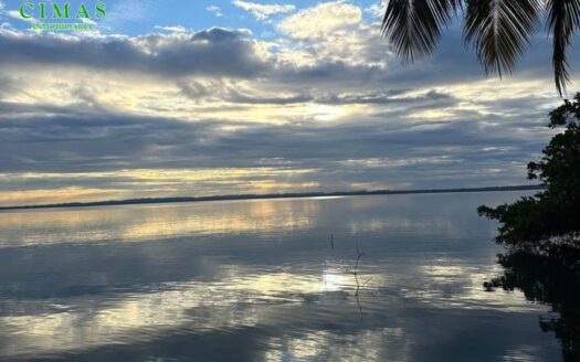 PREDIO RUSTICO EN VENTA EN LA ISLA JUAN A. RAMIREZ EN VERACRUZ